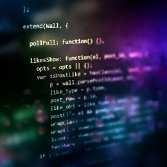 Custom Software Development Process