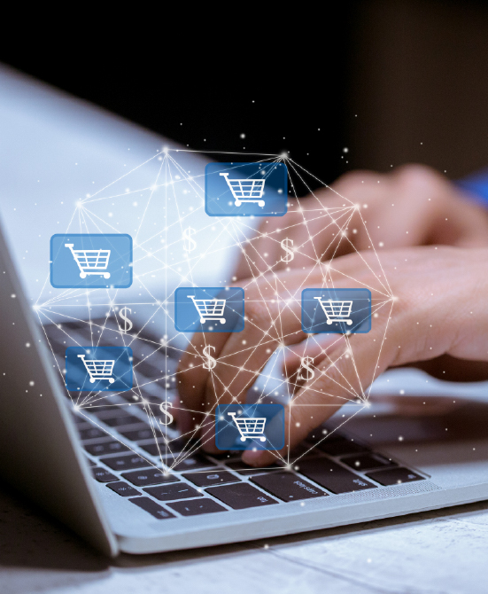 MULTI-SELLER ECOMMERCE MARKETPLACES